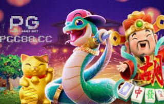 pg娱乐游戏app2024最新版